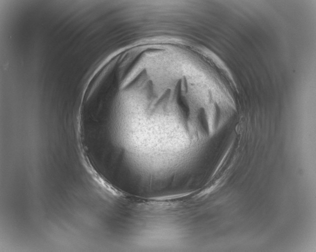 X0000071760860200607220008