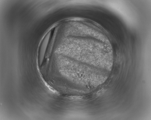 X0000071760861200607220008