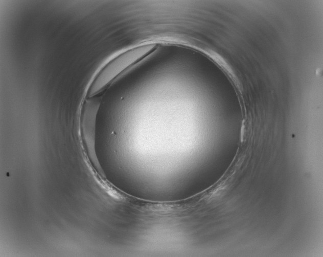 X0000071760862200607220008