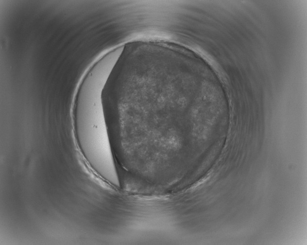 X0000071760864200607220008