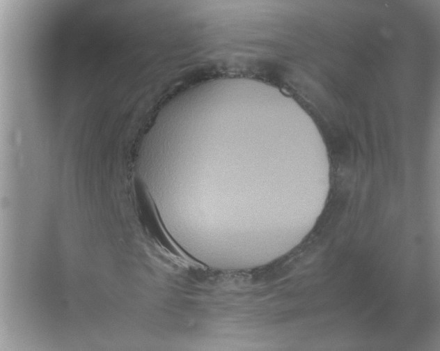 X0000071760865200607220007