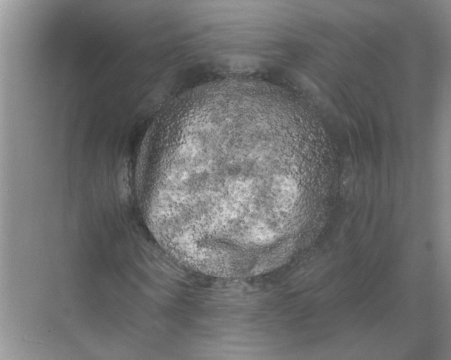 X0000071760866200607220007