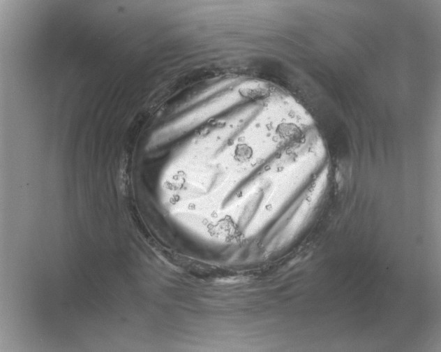 X0000071760867200607220007