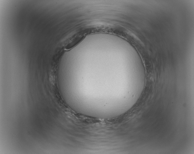 X0000071760869200607220007