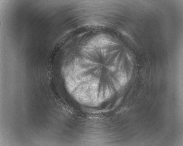 X0000071760870200607220007