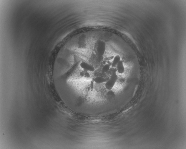 X0000071760871200607220007