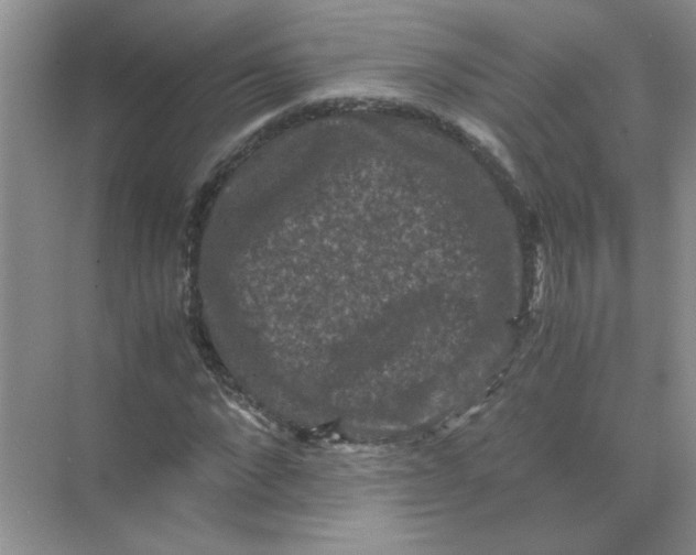 X0000071760872200607220007