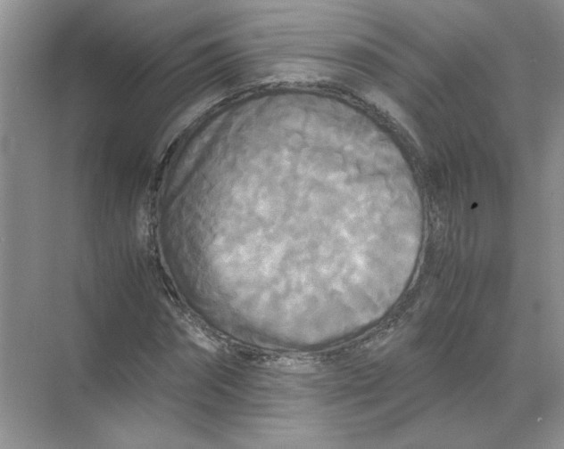 X0000071760874200607220007