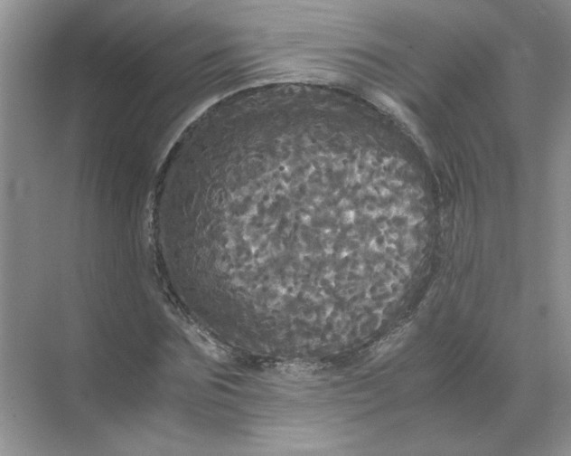 X0000071760875200607220007