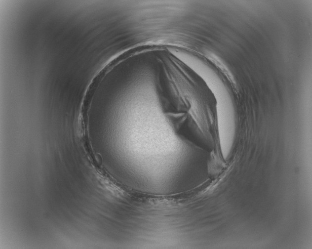 X0000071760876200607220007