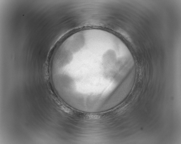 X0000071760878200607220007