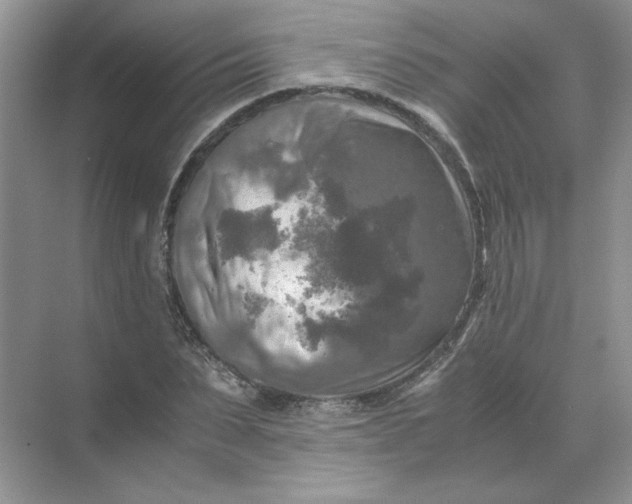 X0000071760879200607220007