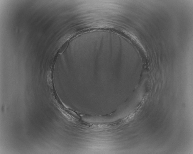 X0000071760881200607220007