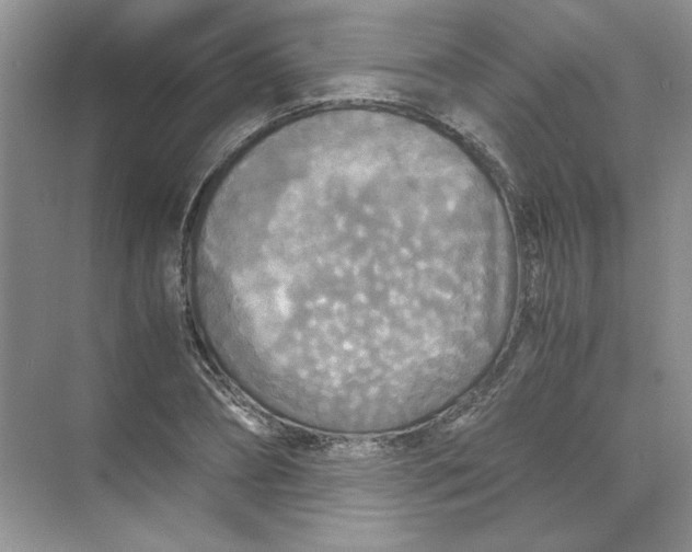 X0000071760882200607220007