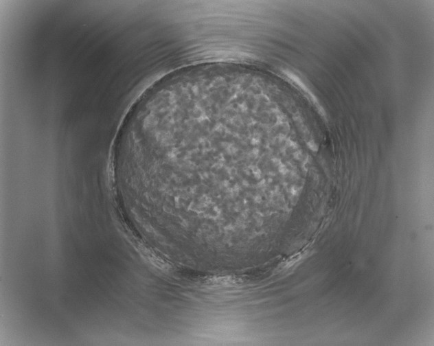 X0000071760883200607220007