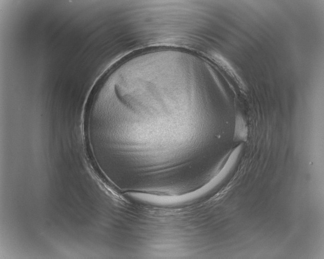 X0000071760884200607220007