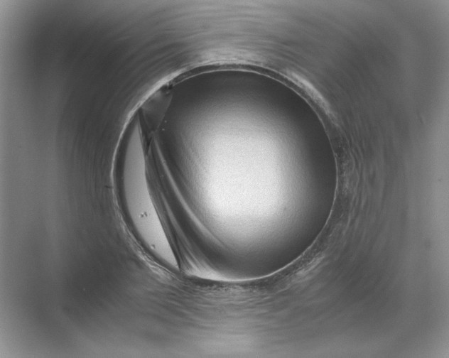 X0000071760885200607220007