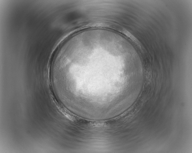 X0000071760886200607220007