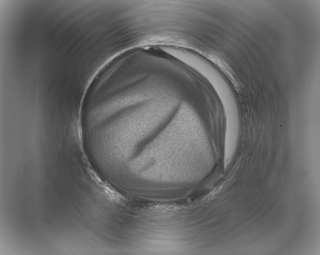 X0000071760888200607220007