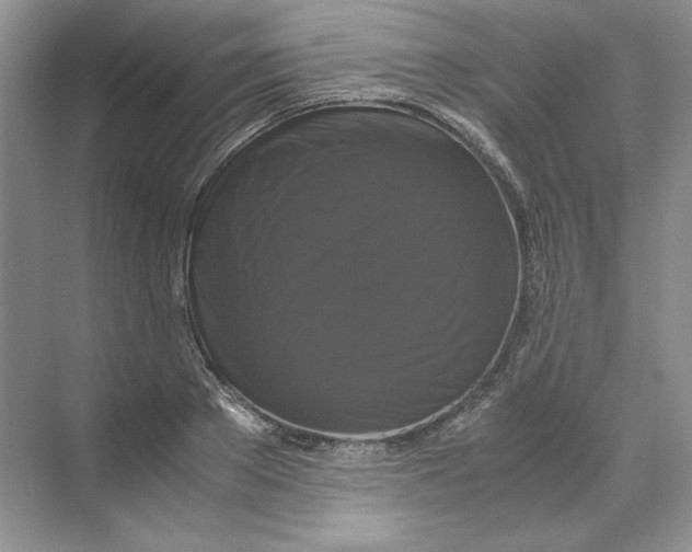 X0000071760889200607220007