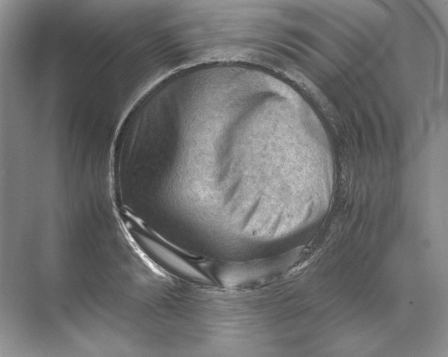 X0000071760894200607220007