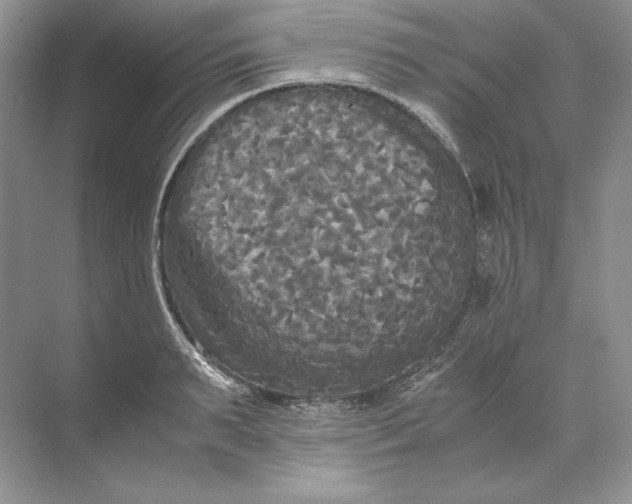 X0000071760895200607220007