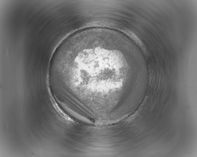 X0000071760896200607220007