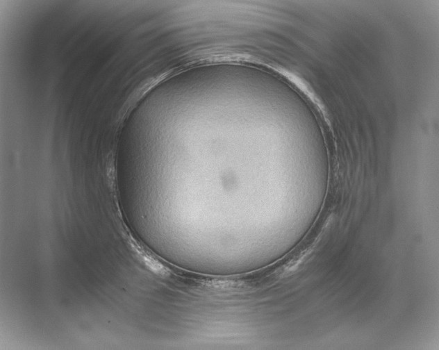 X0000071760897200607220007