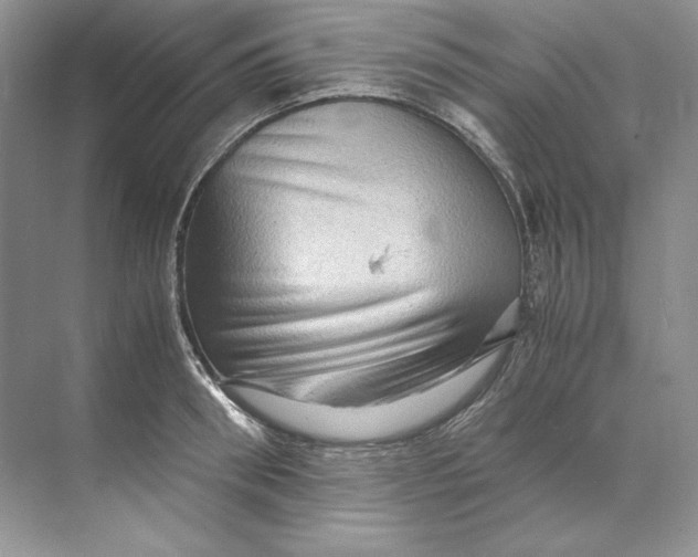 X0000071760898200607220007