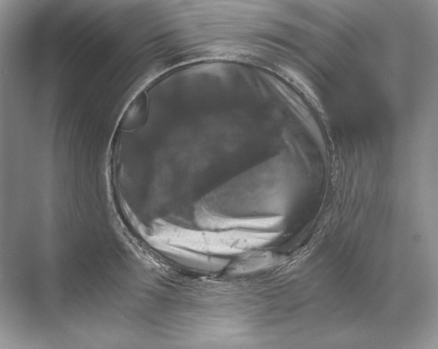 X0000071760899200607220007