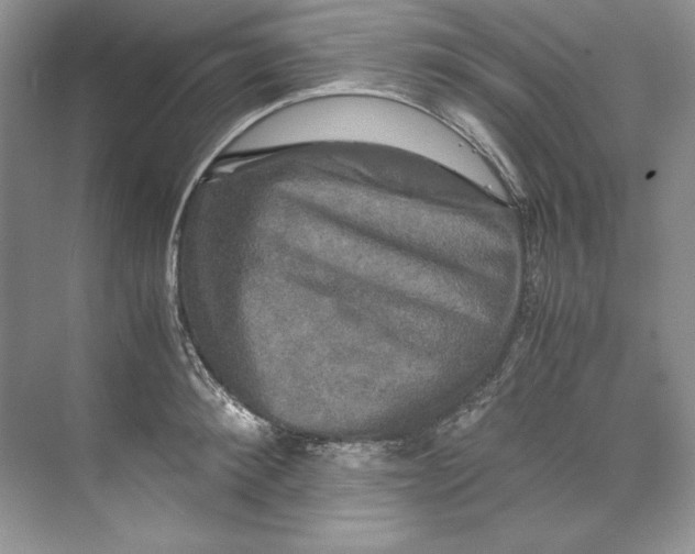 X0000071760900200607220007