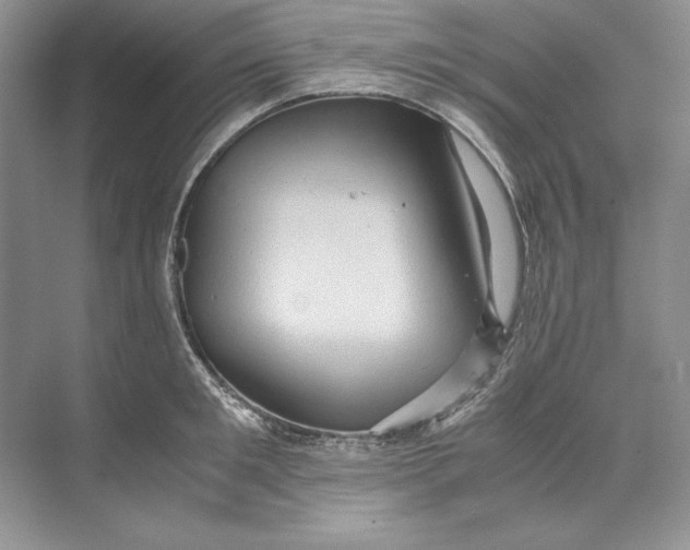 X0000071760901200607220006