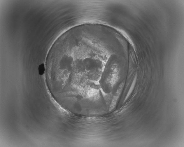 X0000071760903200607220006