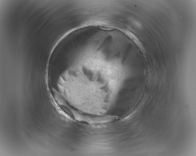 X0000071760904200607220006