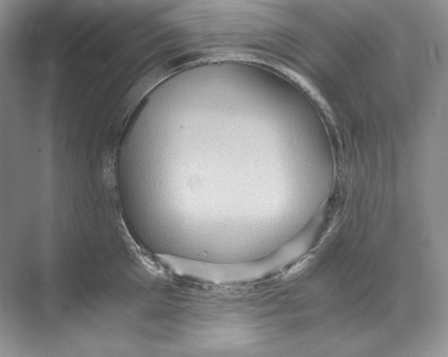 X0000071760905200607220006