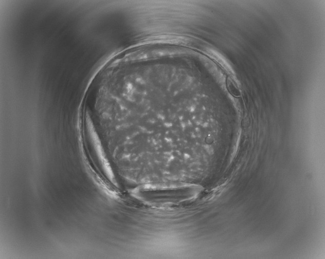 X0000071760907200607220006