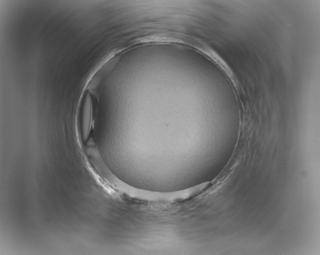 X0000071760909200607220006