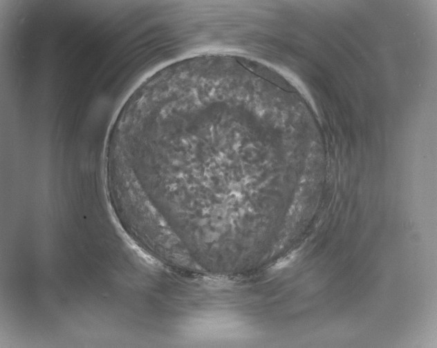 X0000071760911200607220006