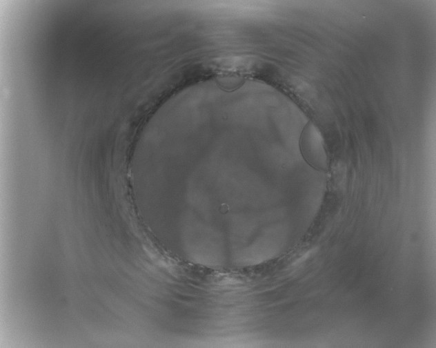 X0000071760913200607220006