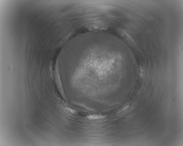 X0000071760915200607220006