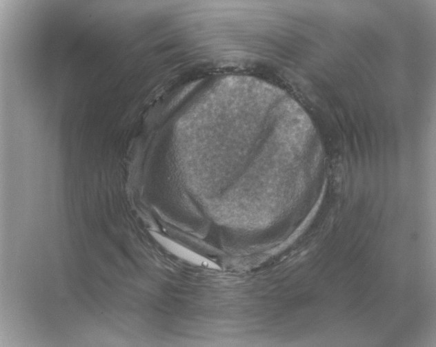 X0000071760916200607220006