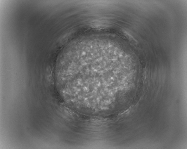 X0000071760917200607220006