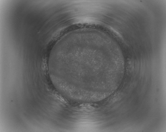 X0000071760918200607220006