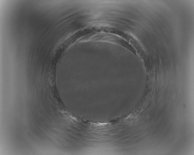 X0000071760919200607220006