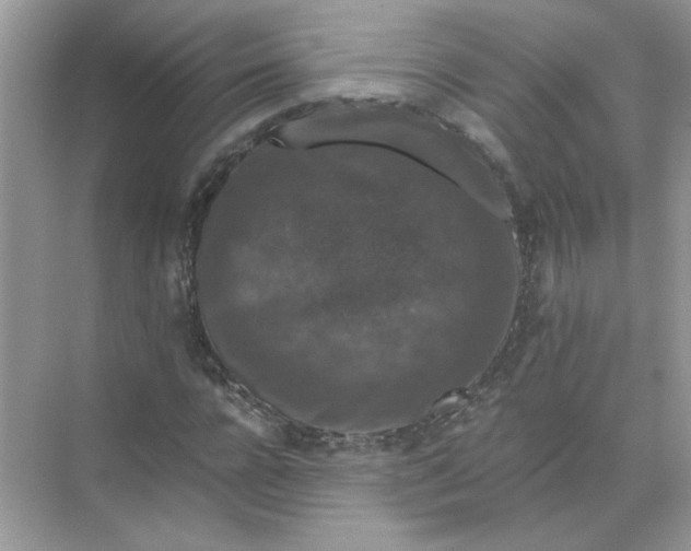 X0000071760920200607220006