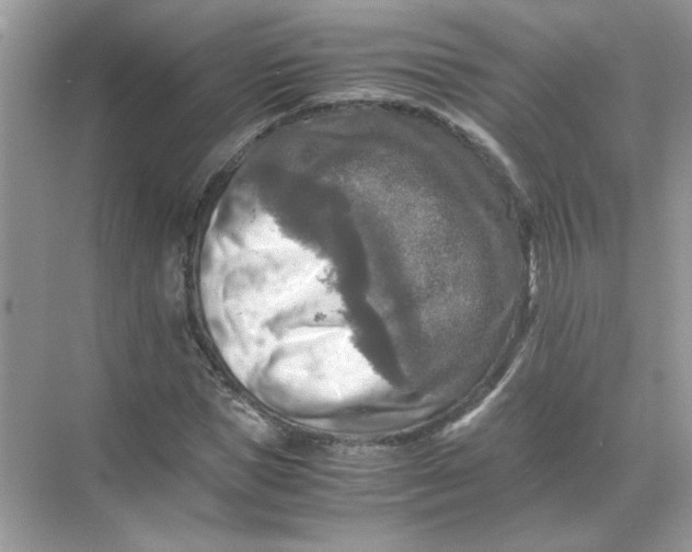 X0000071760921200607220006