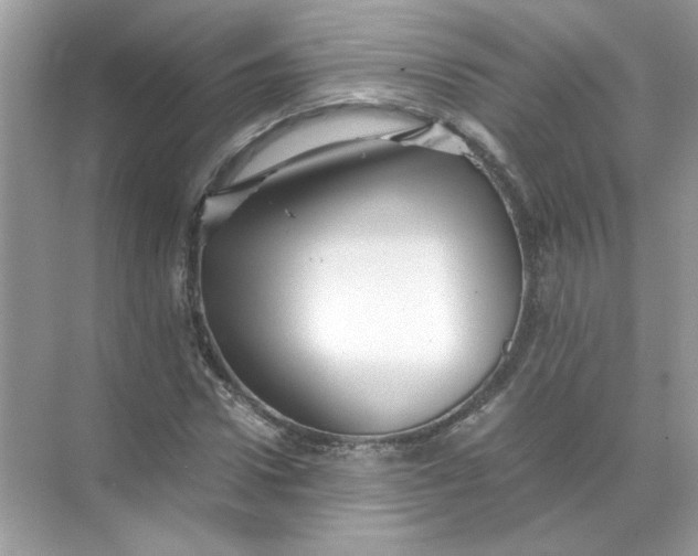 X0000071760922200607220006