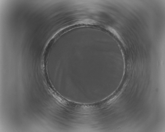 X0000071760923200607220006