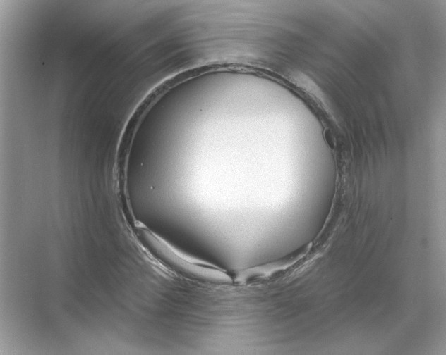 X0000071760924200607220006