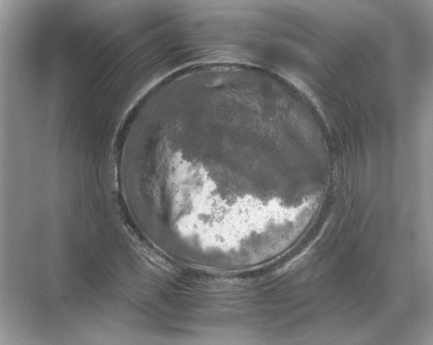 X0000071760925200607220006